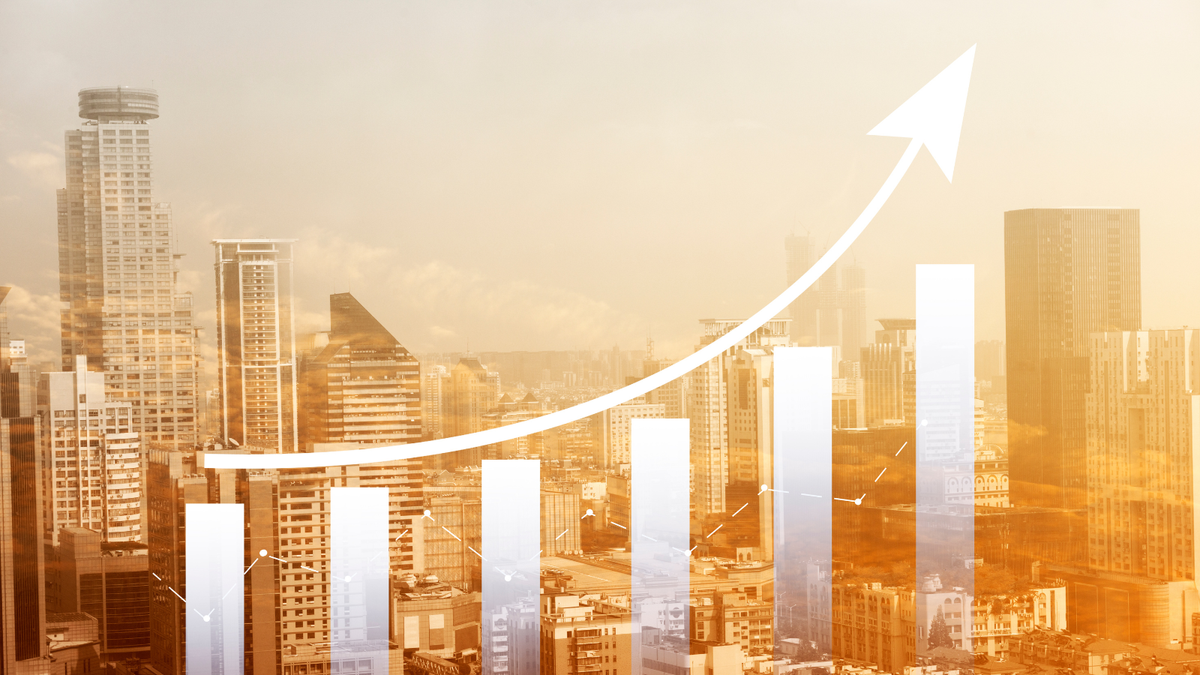 Supplier Development for Sustainable Brands