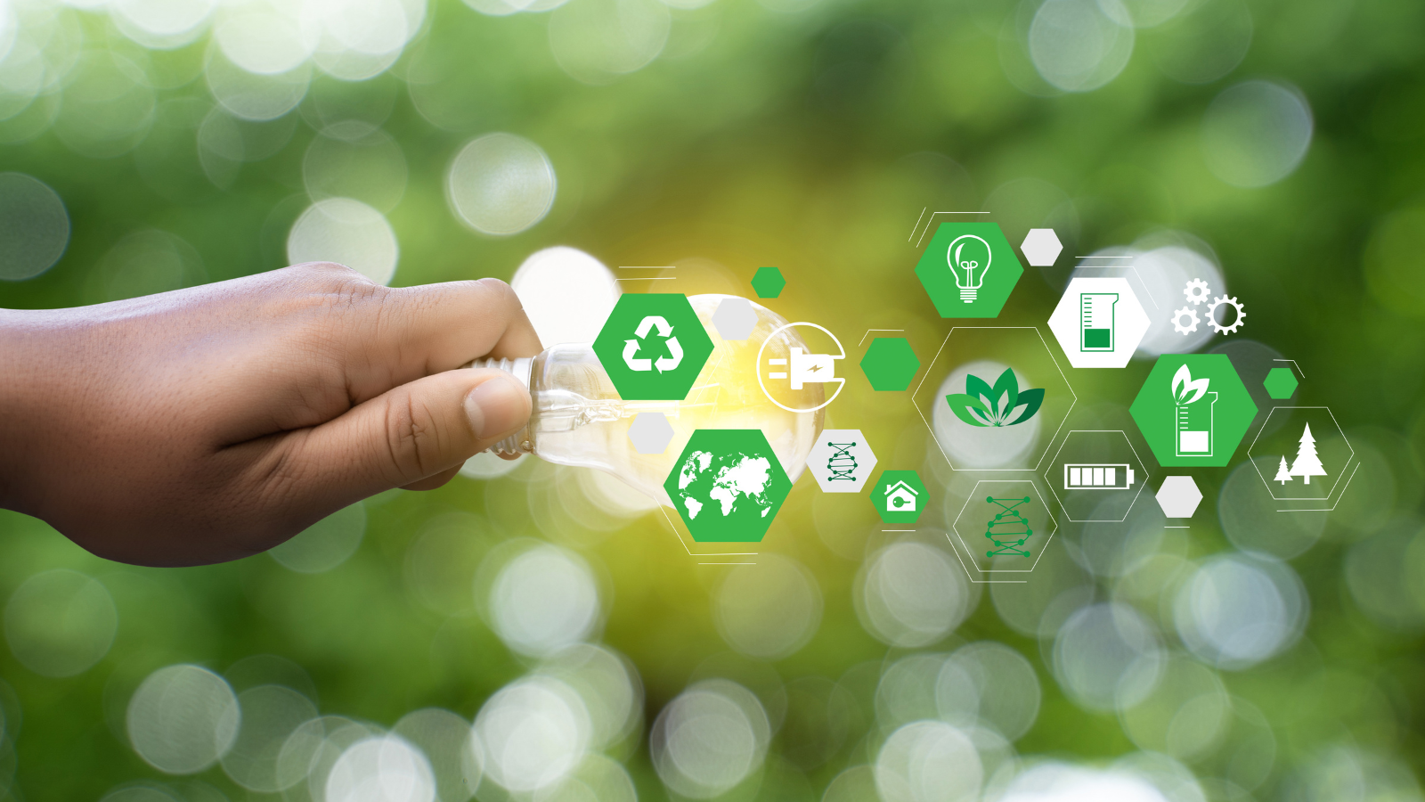 Responsible Sourcing Driving Long-Term Business Growth