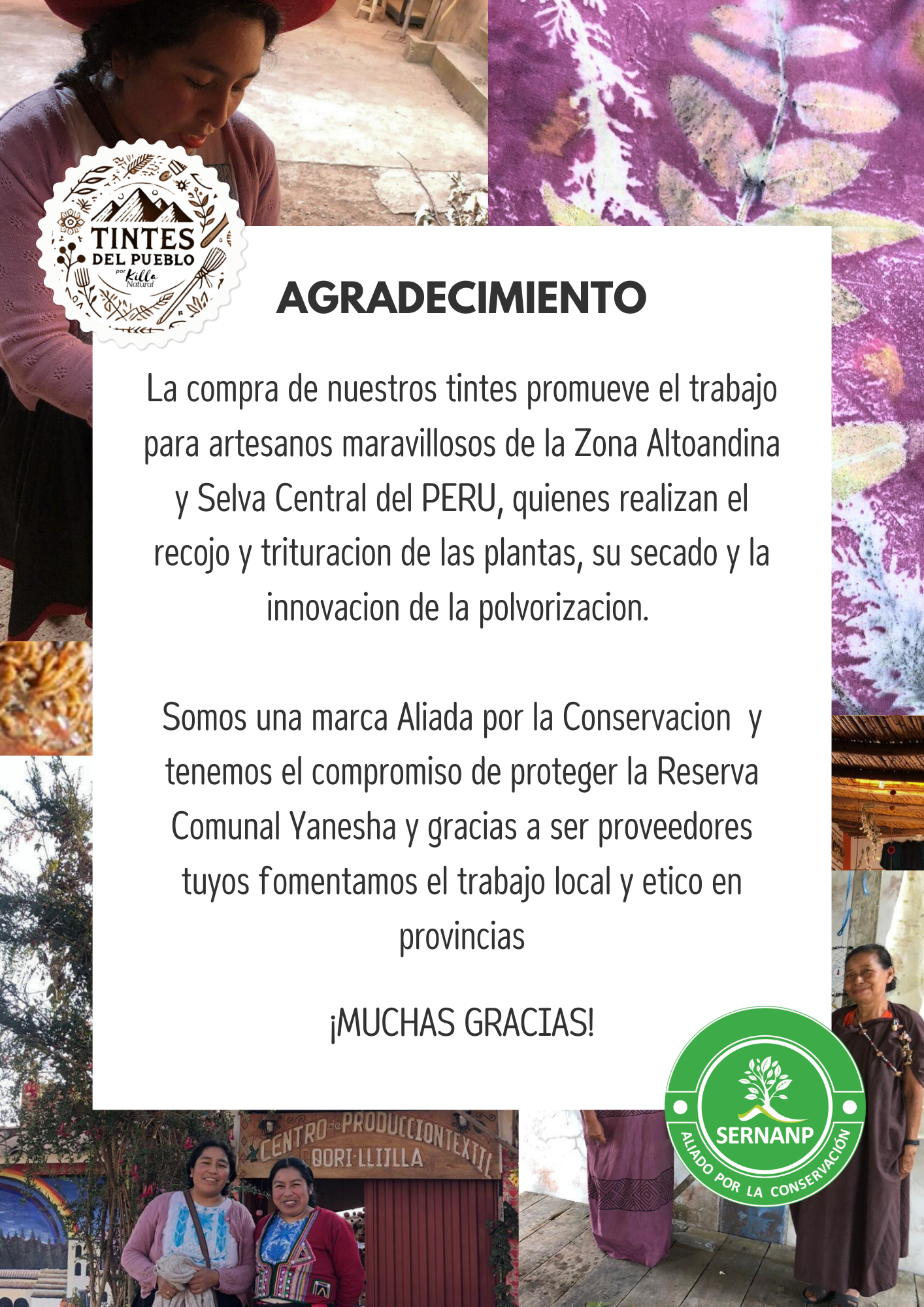 Tintes del Pueblo – 100% Natural Yellow Dye