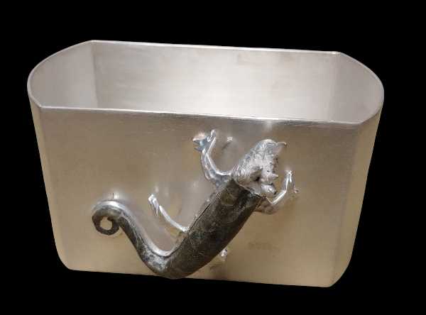 Multipurpose Chameleon Box