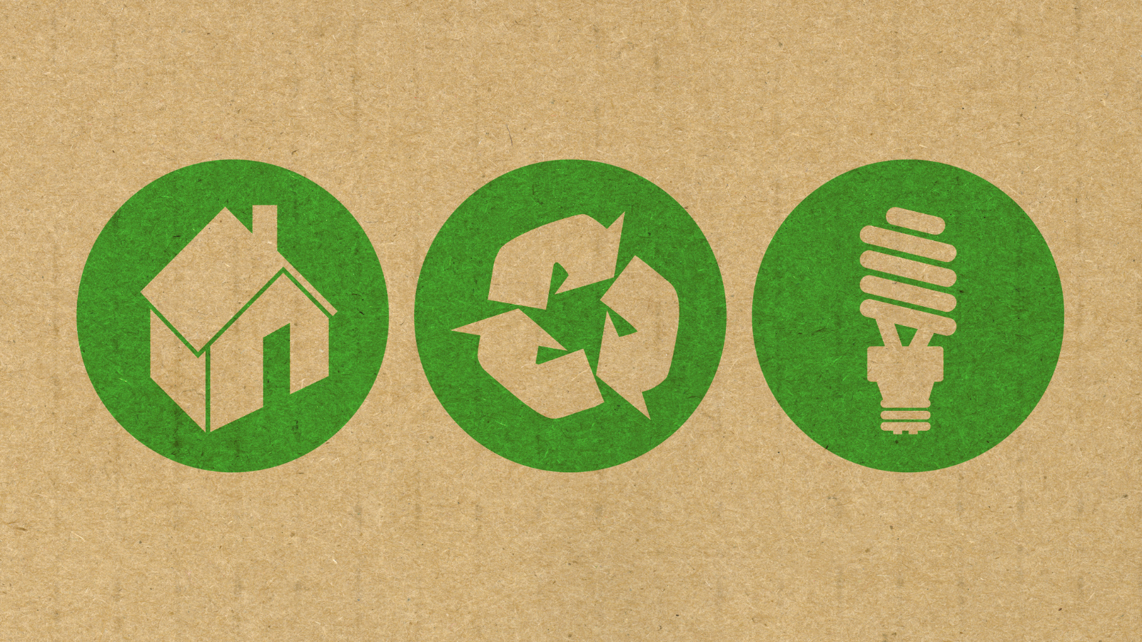 Eco-Friendly Fall Habits for Mindful Living