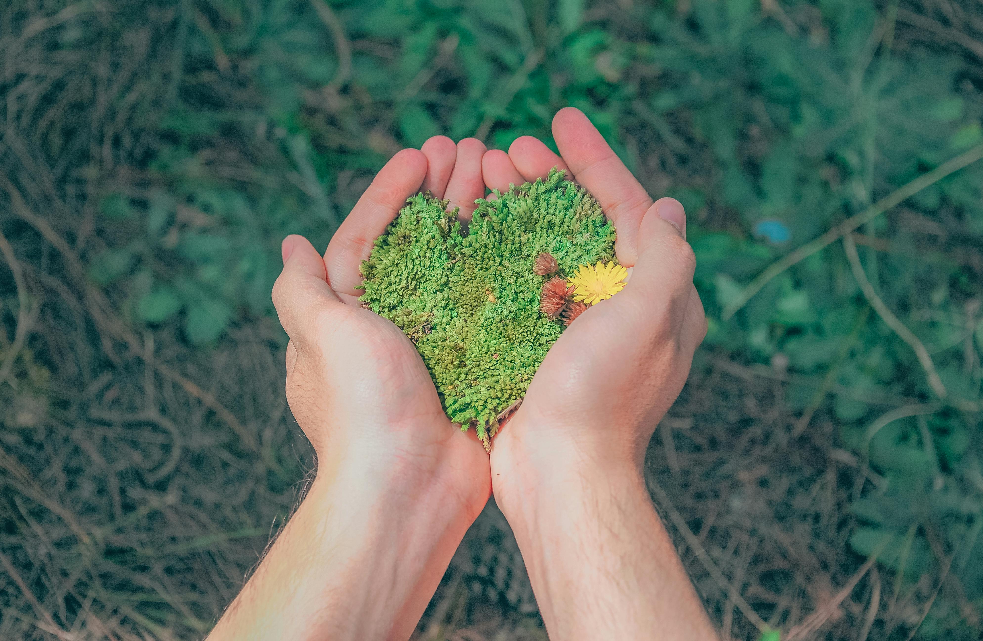 Leading by Example: Inspiring Eco-Consciousness in Family and Community
