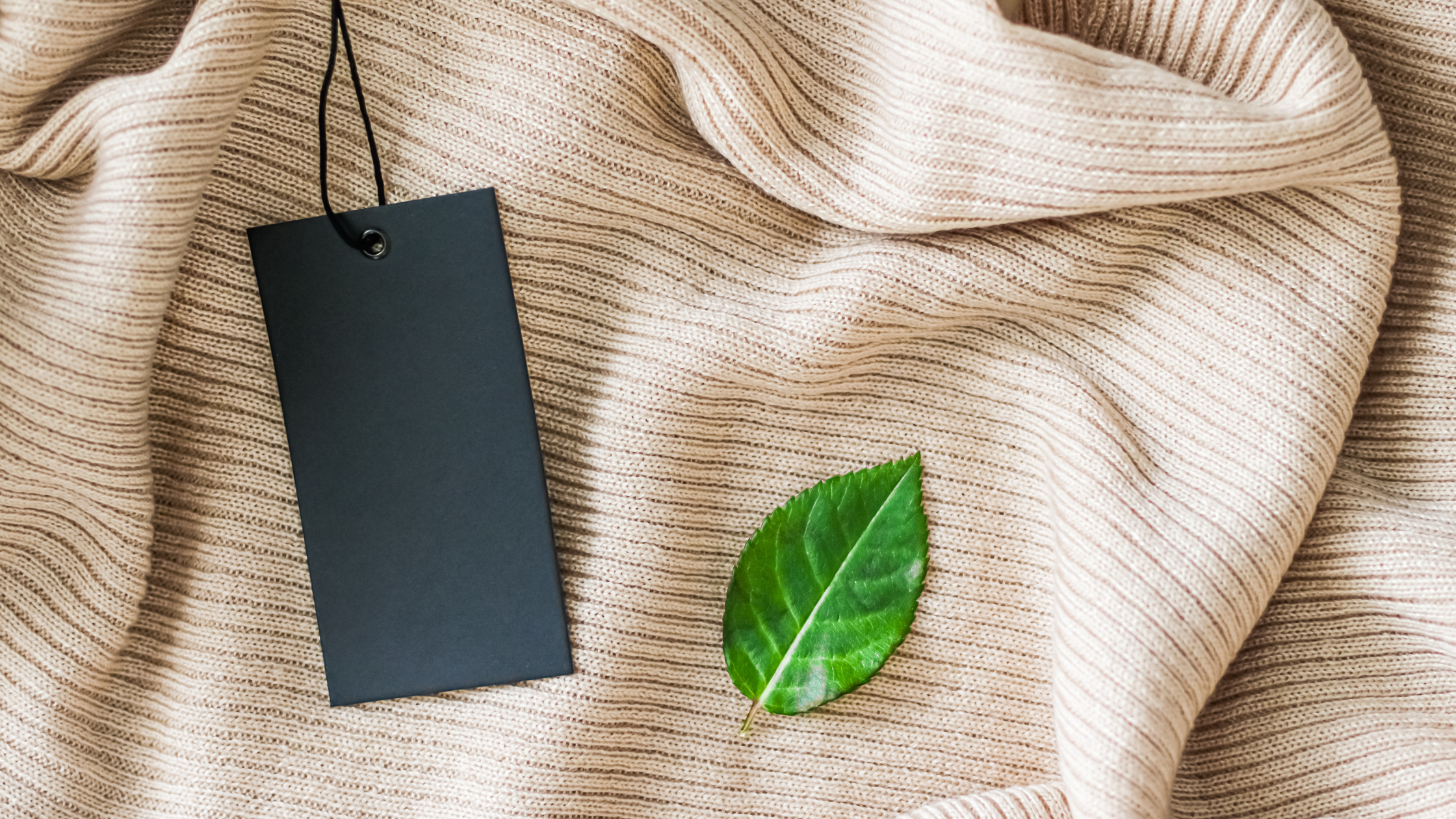 Why Sustainable Shopping Matters – Earth Day Edition