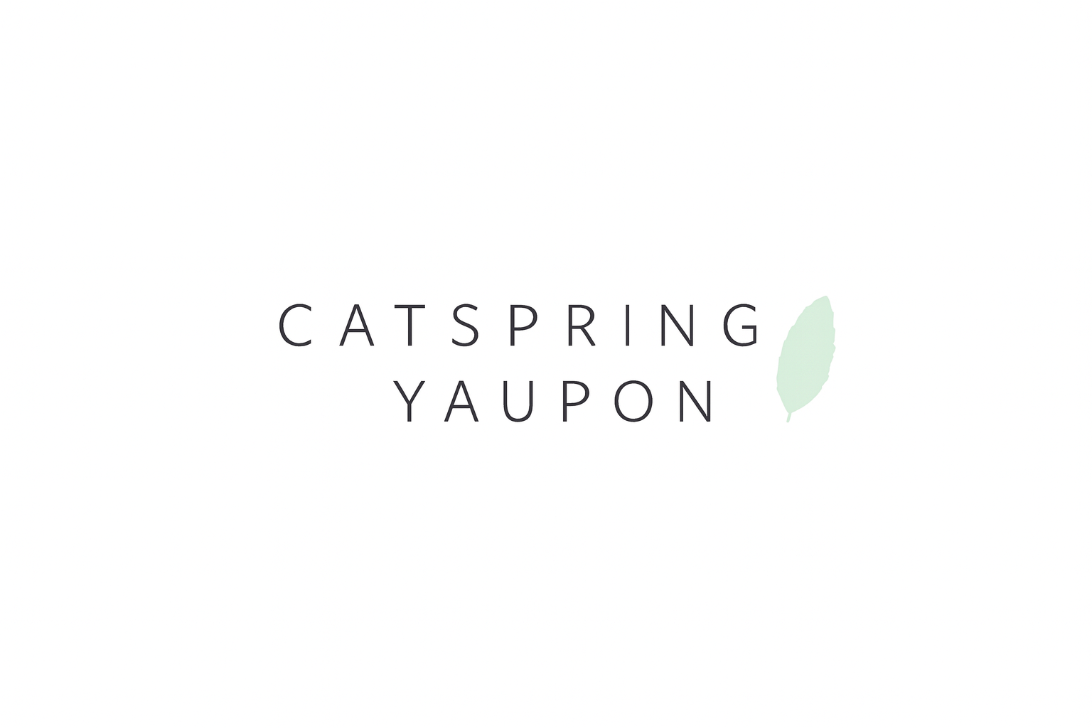 CatSpring Yaupon