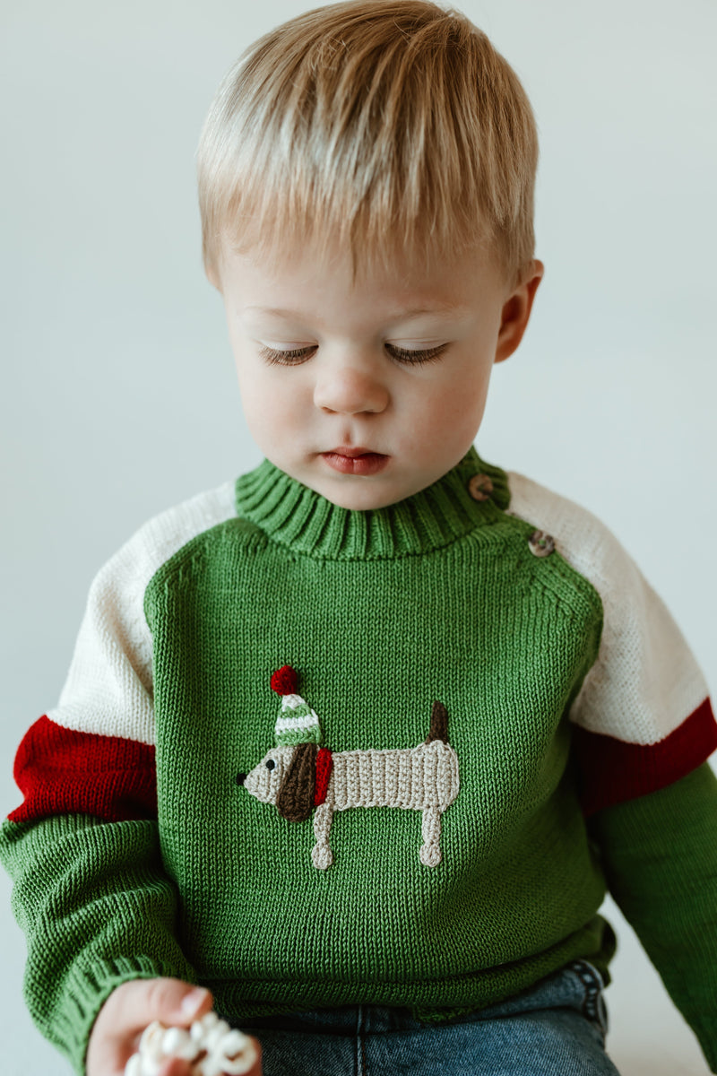 Holiday Dog Sweater
