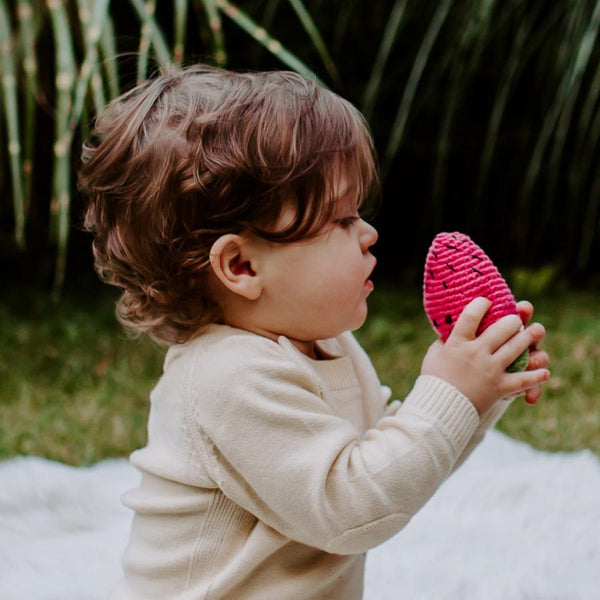 Friendly Watermelon Rattle