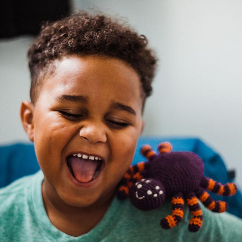 Halloween Toy Spider Rattle