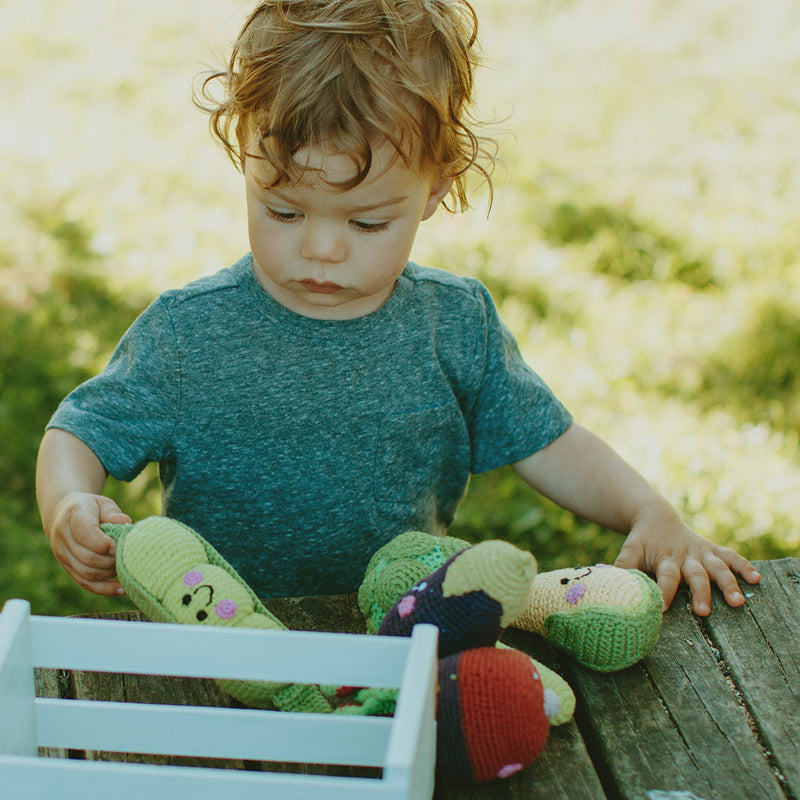 Friendly Lemon Rattle