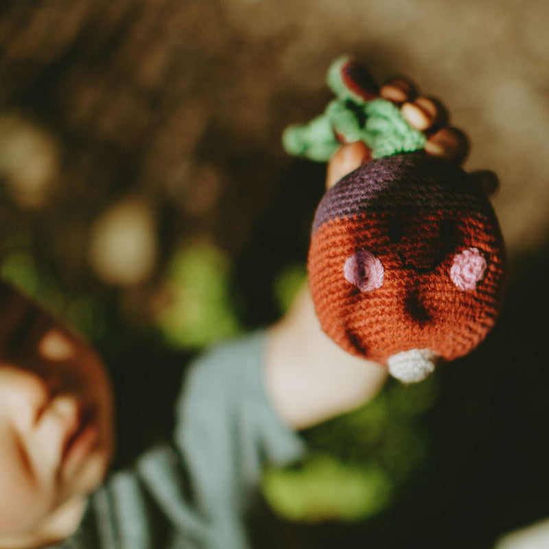 Pretend Play Food Rattle -  Red Beet