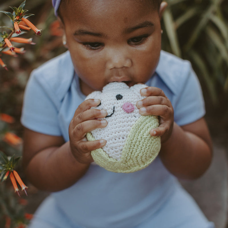 Friendly Lemon Rattle