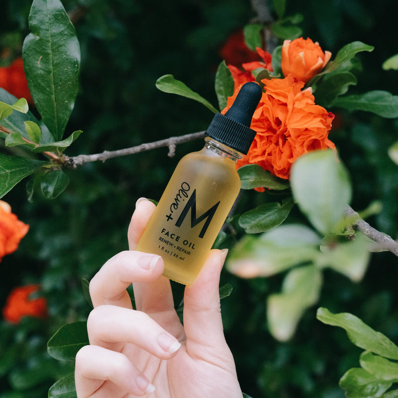 Renew + Repair Face Oil - Olive + M