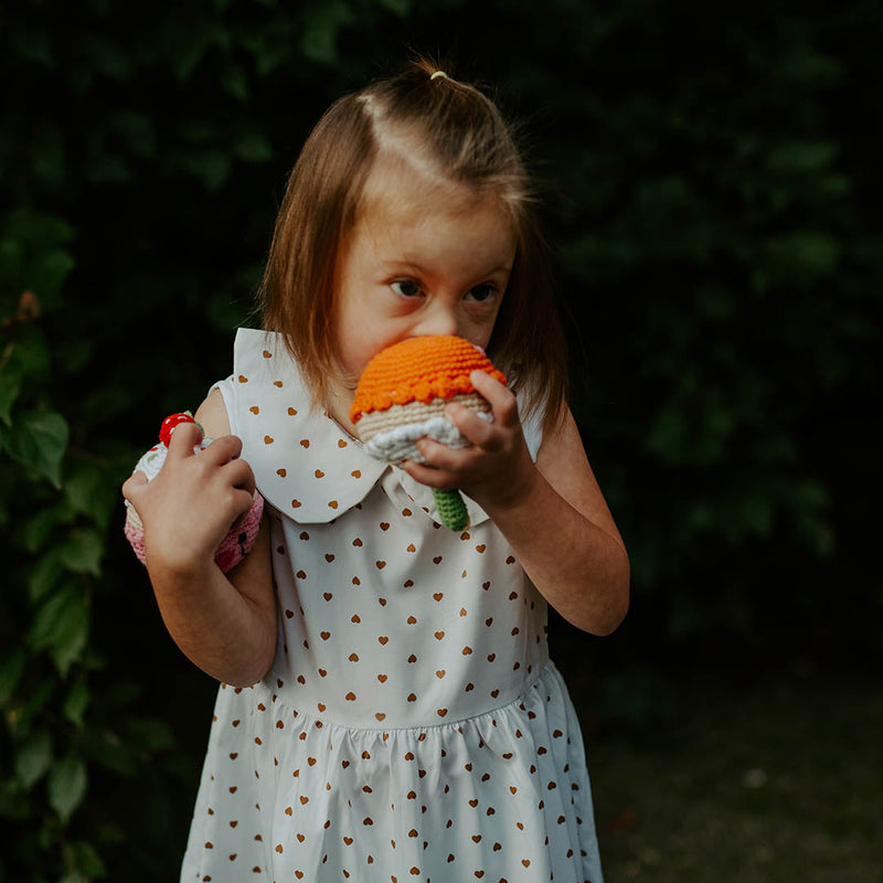 Friendly Lemon Rattle