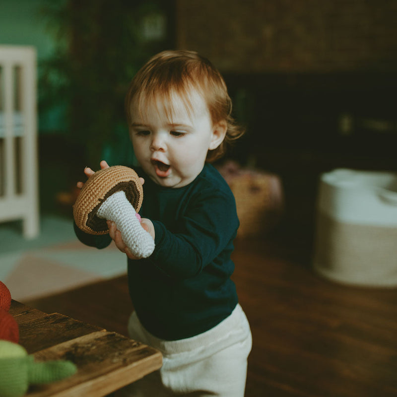 Friendly Mushroom Rattle