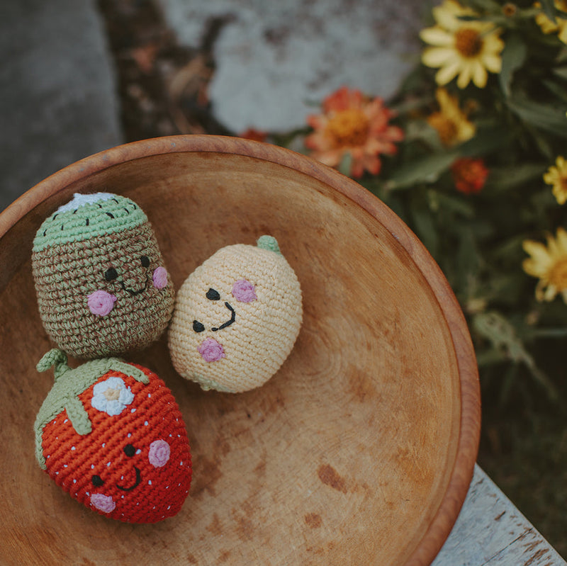 Friendly Kiwi Rattle