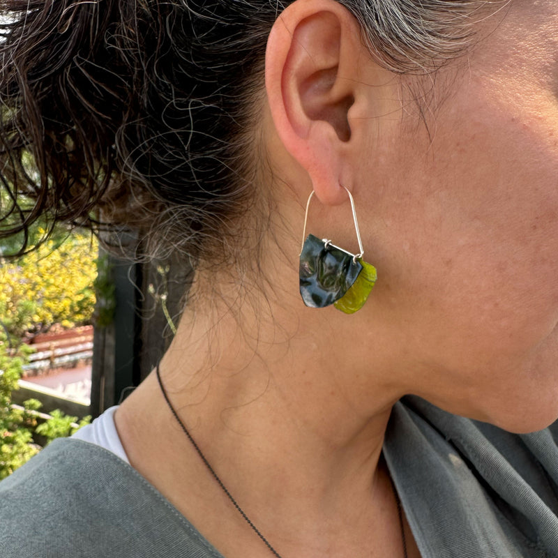 Bicolor Wing Earrings Product