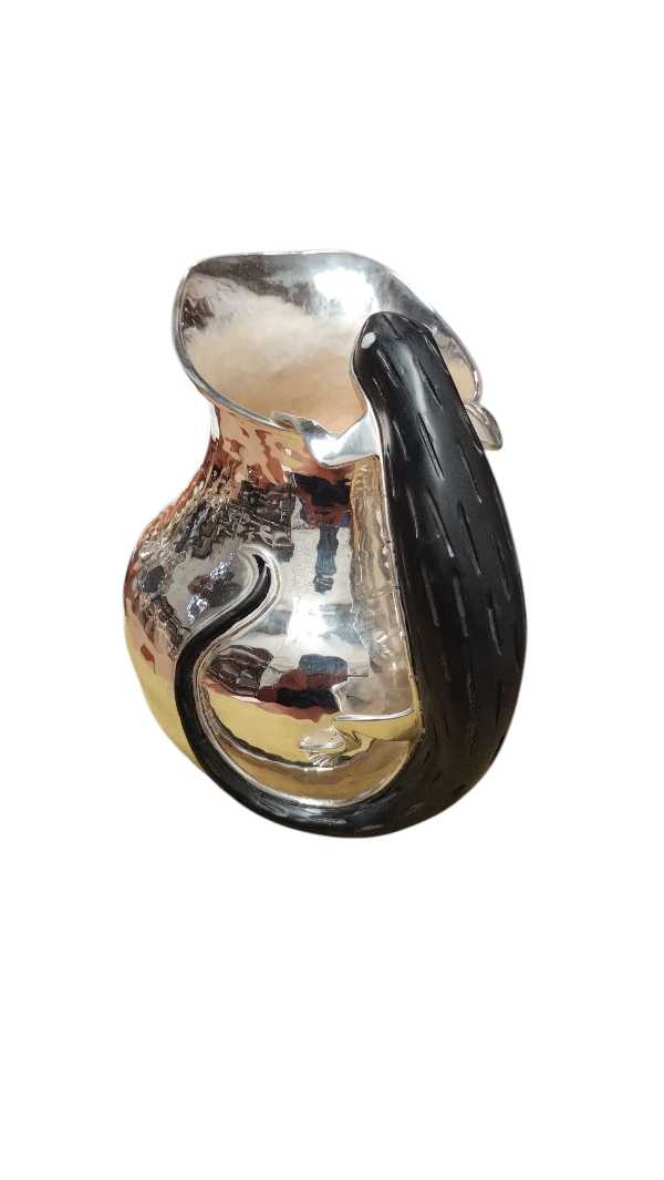 Iguana Pitcher