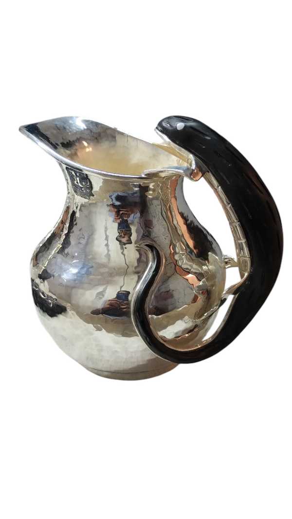 Iguana Pitcher