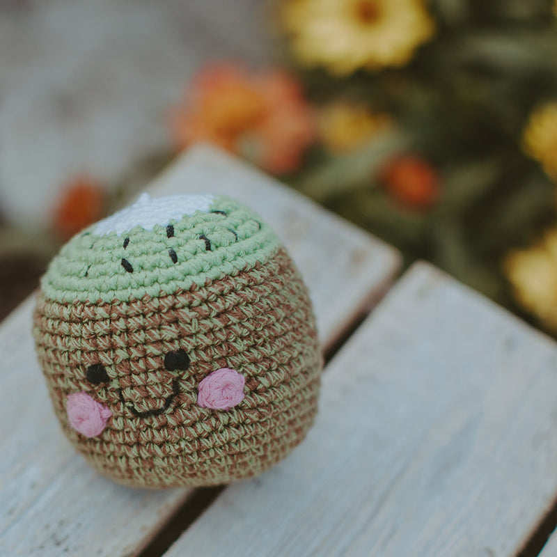 Friendly Kiwi Rattle