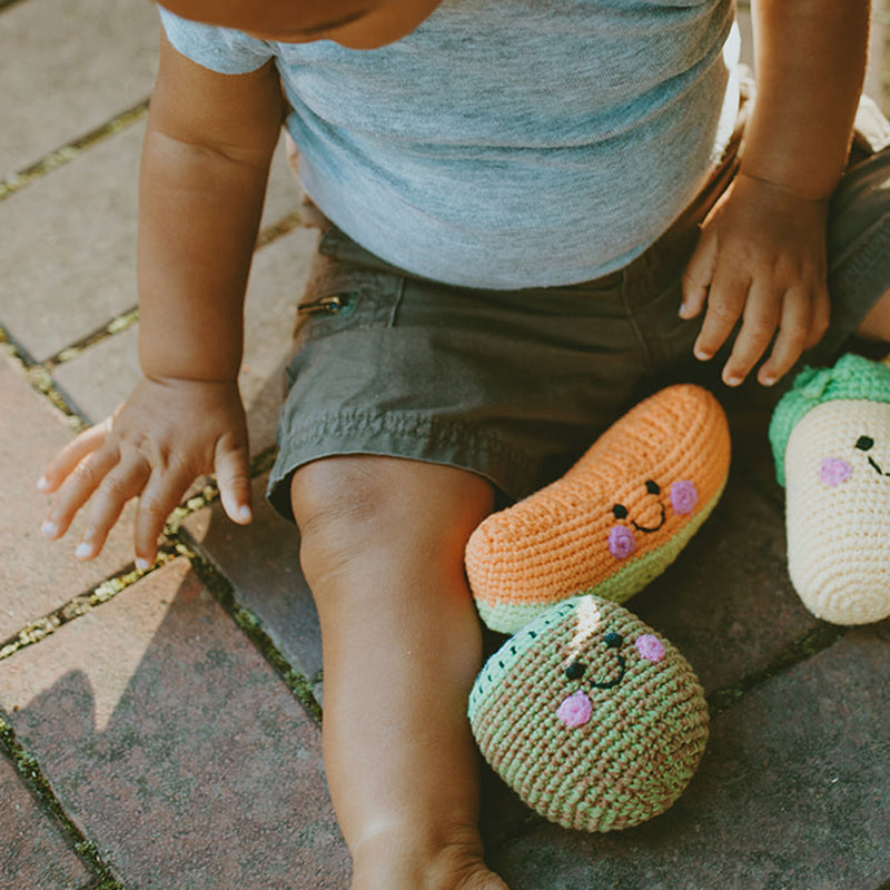 Friendly Kiwi Rattle