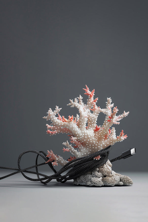 USB Sea Black · Type C · 100W · 2 meter · Made of recycled fishing nets