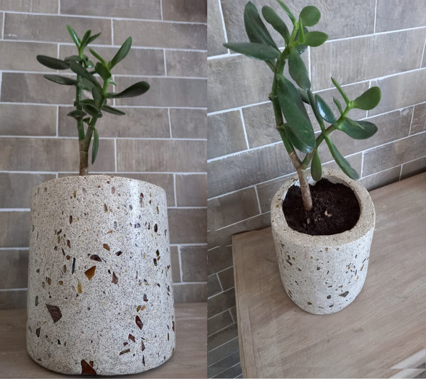 Set Circular Planter Pots