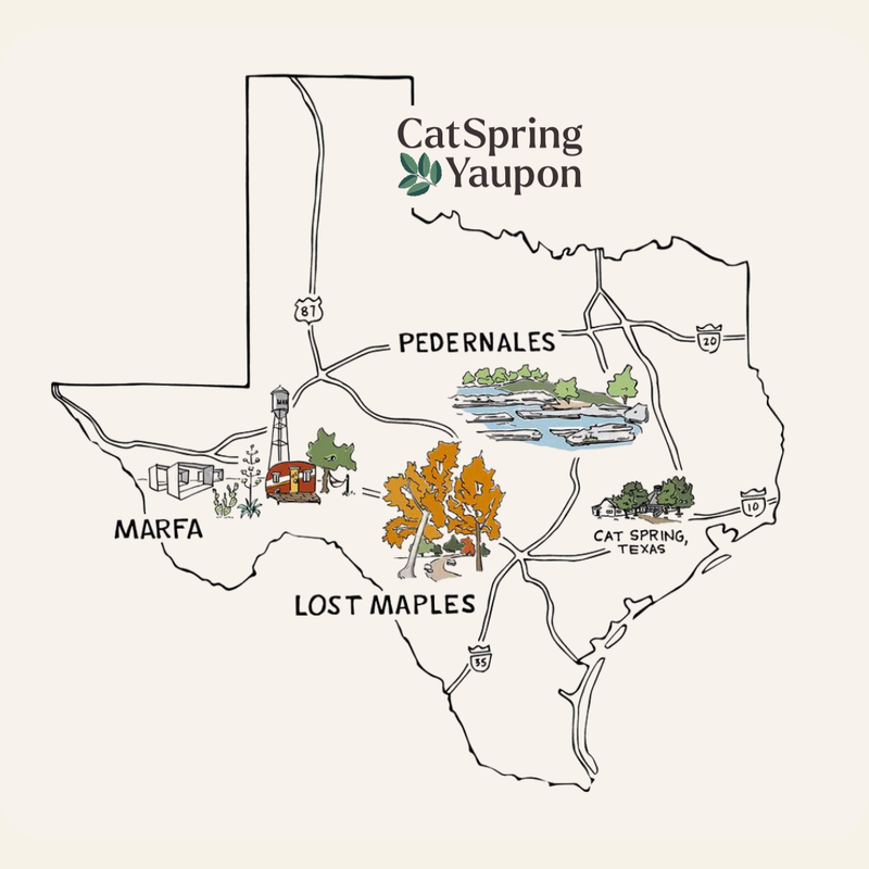 Loose Leaf Yaupon Starter Kit – 3 Roasts + Glass Tumbler