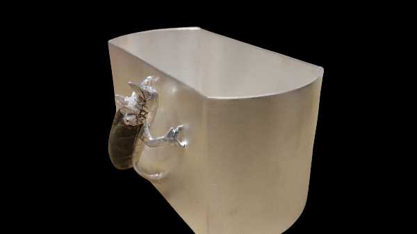 Multipurpose Chameleon Box