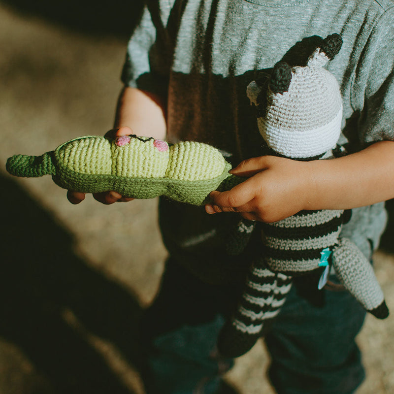 Friendly Peapod Rattle