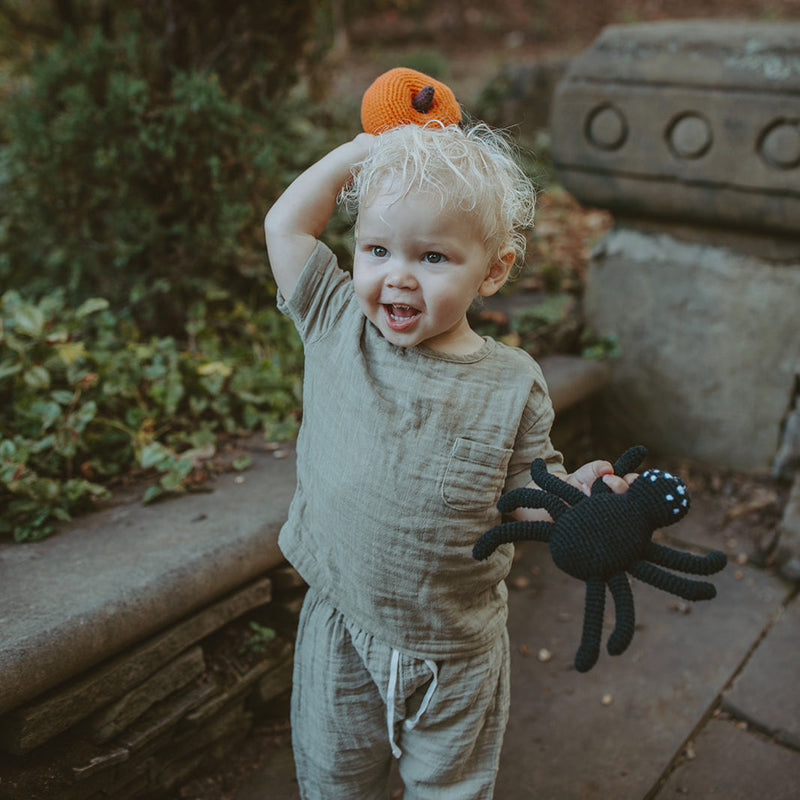 Friendly Pumpkin Rattle