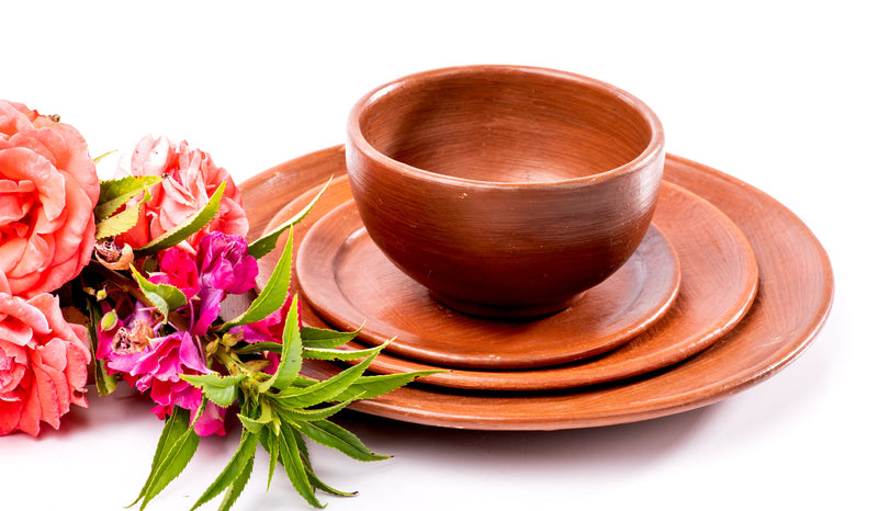 Oaxacan Red Clay Dinnerware – Flor de Tlapazola