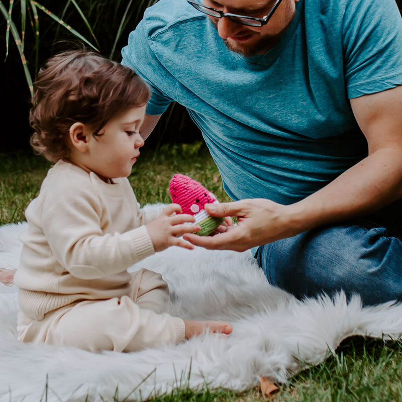 Friendly Watermelon Rattle