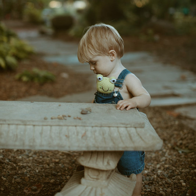 Frog Ring Rattle