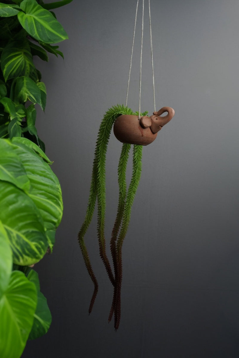 Terracotta Elephant Hanging 2 Planters