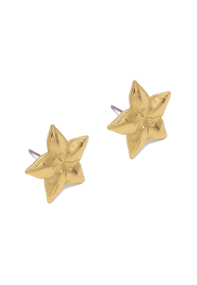 Caramba Carambola Studs