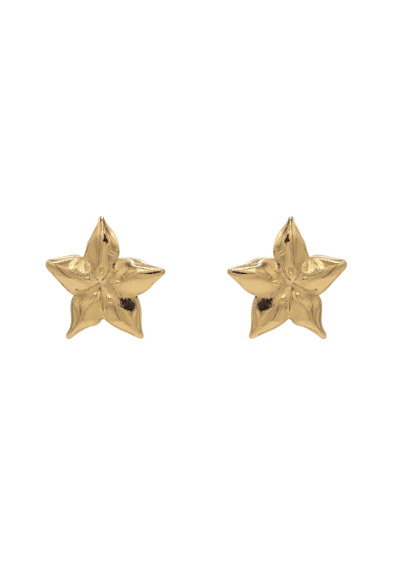 Caramba Carambola Studs