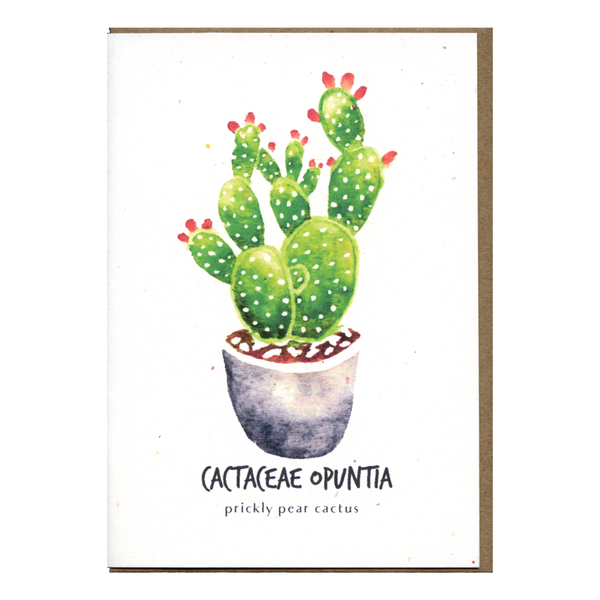 Cactaceae Opuntia Botanical Card