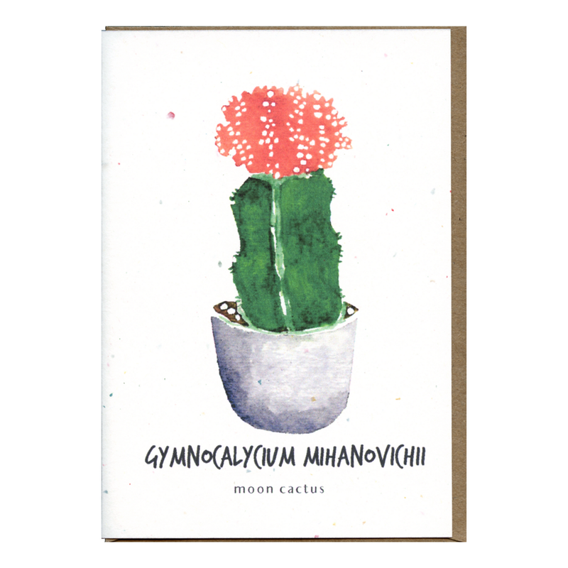 Gymnocalycium Mihanovichii Botanical Card