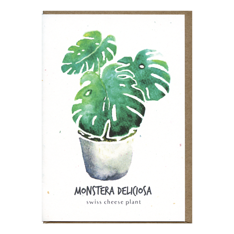Monstera Deliciosa Botanical Card
