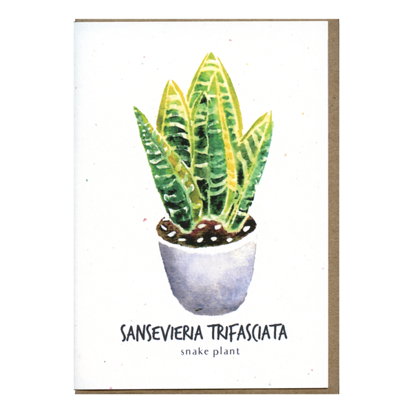 Sansevieria Trifasciata Botanical Card