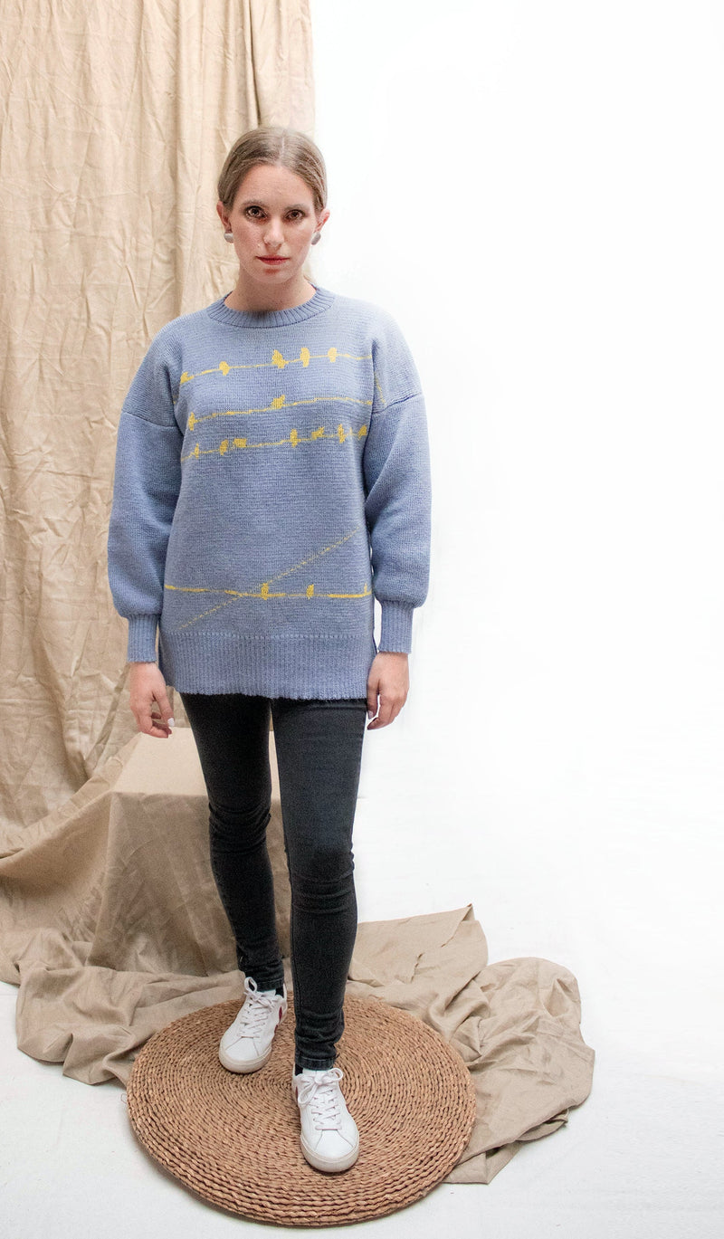 Pajaritos Alpaca Sweater - Light Blue and Yellow