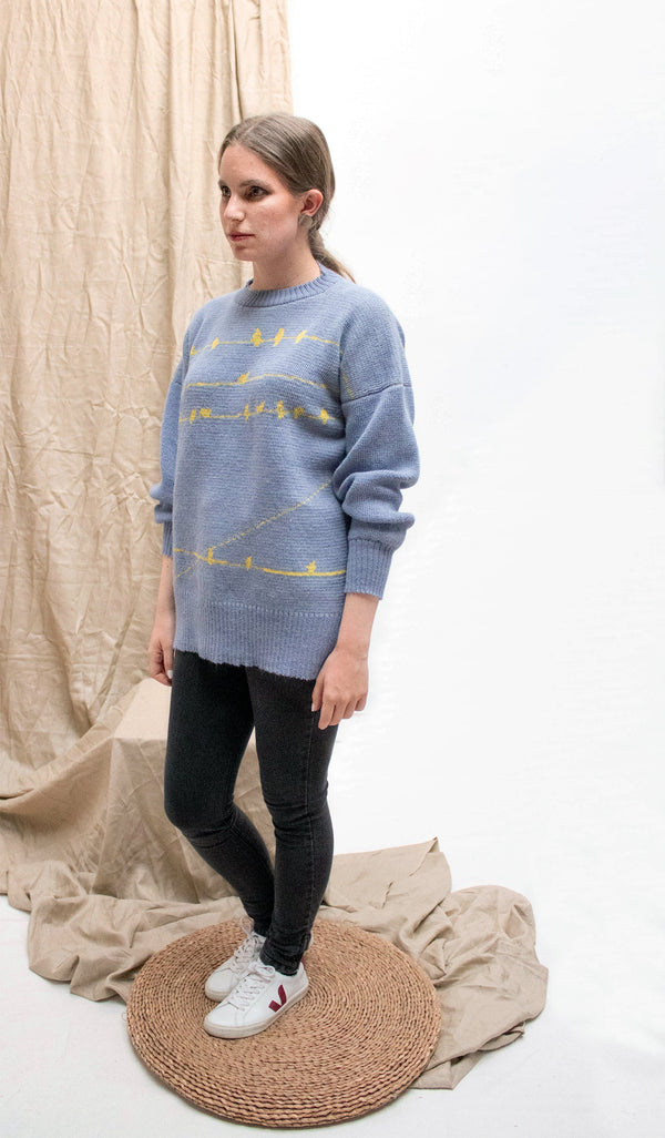 Pajaritos Alpaca Sweater - Light Blue and Yellow
