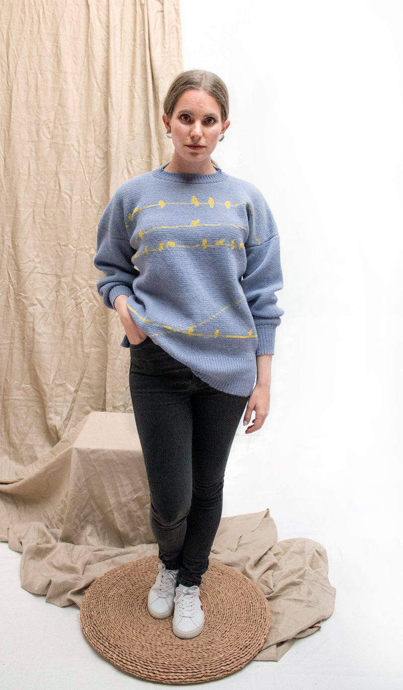 Pajaritos Alpaca Sweater - Light Blue and Yellow