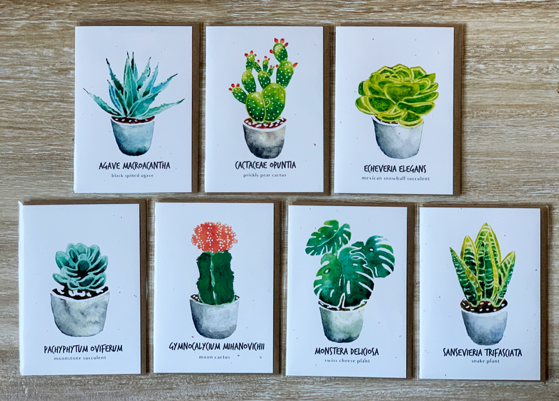 Botanical Card Set of 7