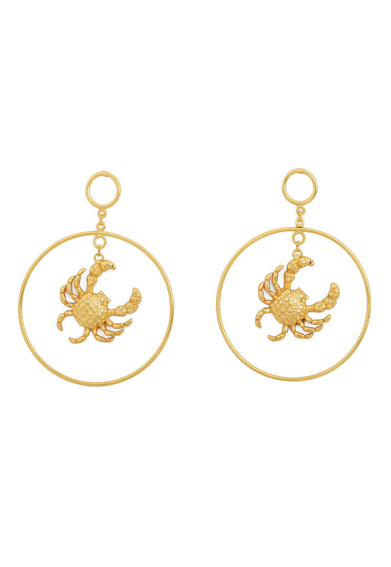 Mr Crab Maxi Hoops